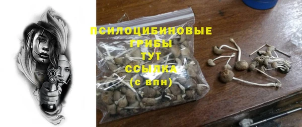 ешки Няндома