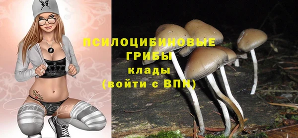 ешки Няндома