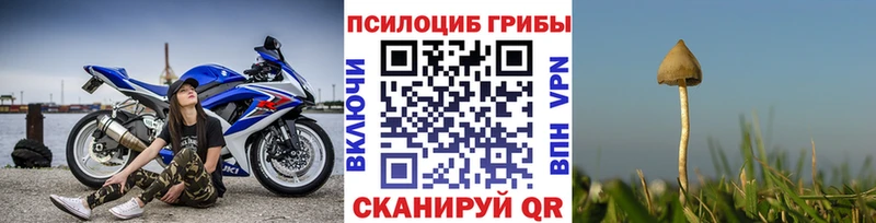 Купить закладки  Волжский  Галлюциногенные грибы мицелий 